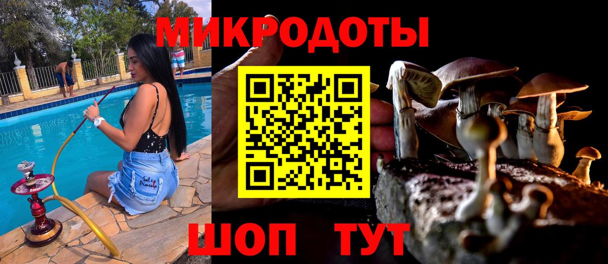 где продают   Галлюциногенные грибы Cubensis  Вход с VPN  Касимов  Галлюциногенные грибы Magic Shrooms 