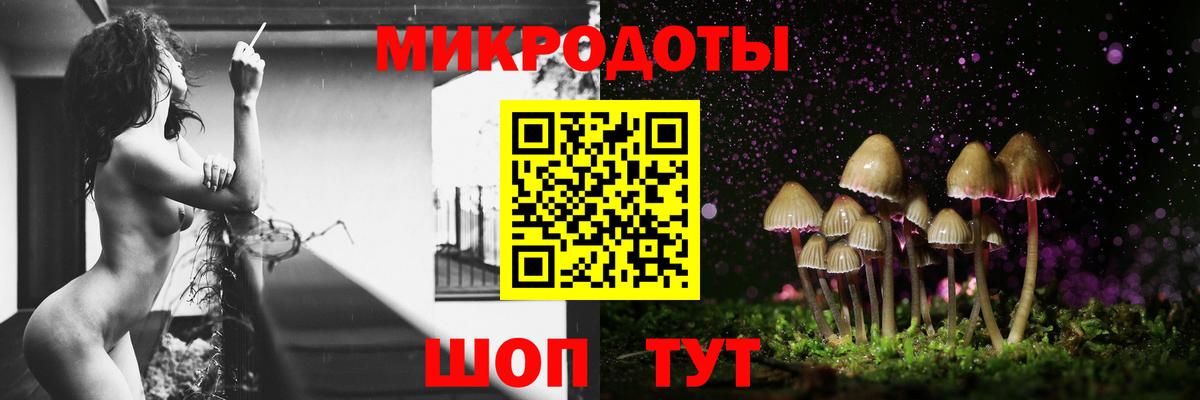 Псилоцибиновые грибы Cubensis Касимов